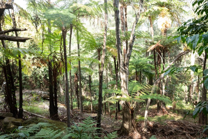 Photo of Parsley Bay