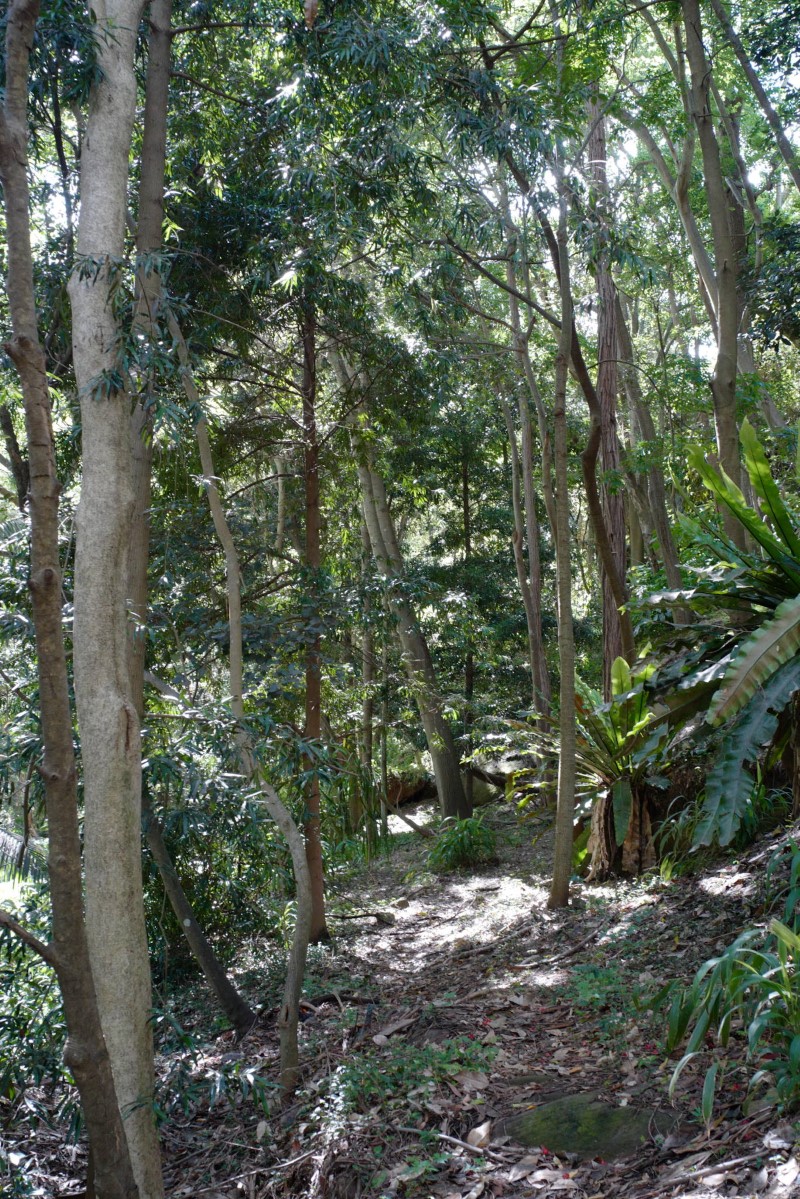 Rosewood Walk